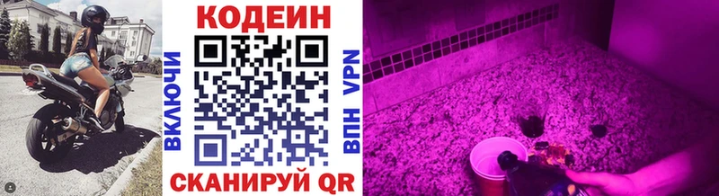 Кодеин напиток Lean (лин)  где можно купить наркотик  mega   Короча 