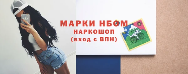 хмурый Богородицк