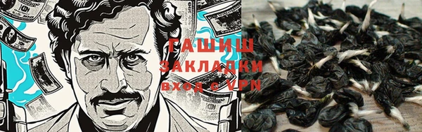 хмурый Богородицк