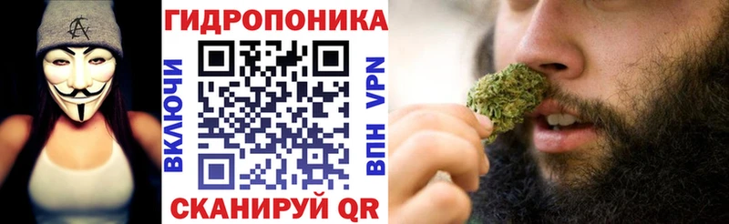 Бошки Шишки ГИДРОПОН  Короча 